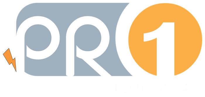PRO 1 Engineering SARL